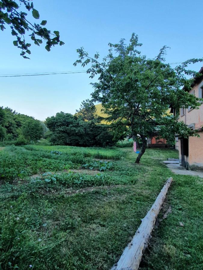 B&B Calecatine Rocca di Botte Екстер'єр фото